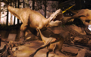 About Albertosaurus