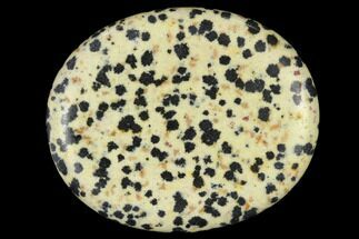 1.9" Polished Dalmatian Jasper Worry Stones 