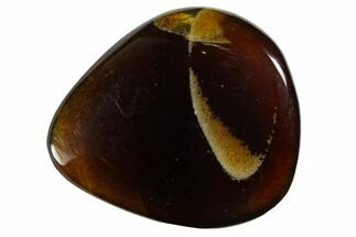 Tumbled Indonesian Blue Amber (1" Size) - Fluorescent