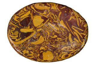 Coquina Jasper (Calligraphy Stone) Worry Stones - 1.5" Size