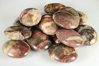 1.8" Petrified Wood Pocket Stones 