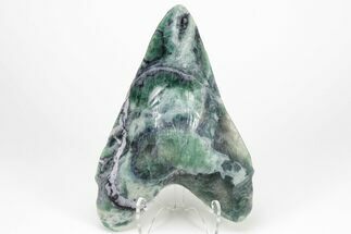 7.4" Realistic, Carved Green/Purple Fluorite Megalodon Tooth - Replica