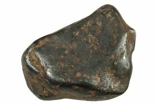 Canyon Diablo Iron Meteorites (8-10 grams) - Arizona