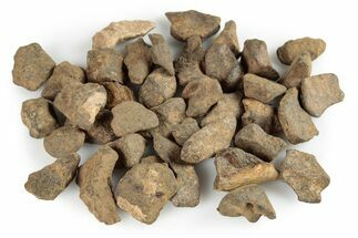 Agoudal Iron Meteorites (2-4 grams) - Morocco