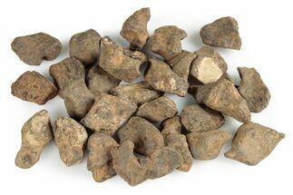 Agoudal Iron Meteorites (4-6 grams) - Morocco