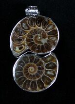 Double Ammonite Fossil Pendant #3377
