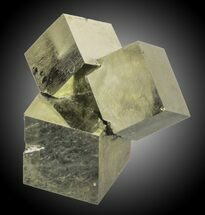 Tall Natural Pyrite Cube Cluster - Navajun, Spain #31030