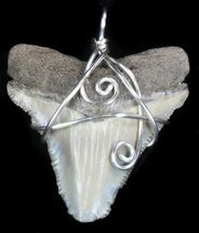 Fossil Megalodon Tooth Pendant #36436