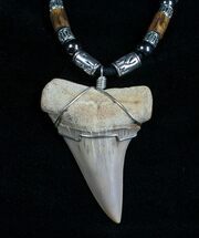 Fossil Mako Tooth Necklace - Bakersfield, CA #4872