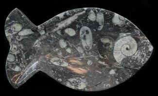 Fish-Shaped Fossil Goniatite Dish (Black) - Stoneware #62458