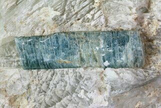 Fluorapatite Crystal In Calcite - New York #71624