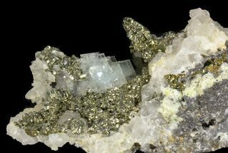 Blue Barite, Quartz, Marcasite and Pyrite Association - Morocco #64385