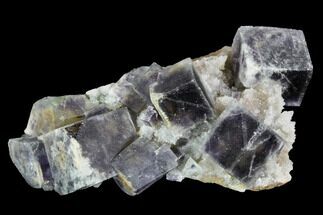 Green Fluorite Crystals with Purple Phantoms - Mongolia #100734