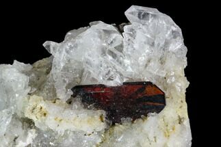 Ruby Red Brookite Crystal On Quartz - Pakistan #111333