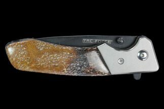 Folding Tactical Knife With Fossil Dinosaur Bone (Gembone) Inlays #127560