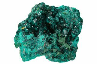 Gemmy Dioptase Crystal Cluster - Congo #129547