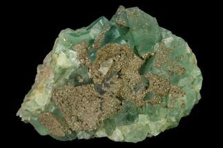 Green Fluorite Crystals with Druzy Pyrite - Fluorescent #136883