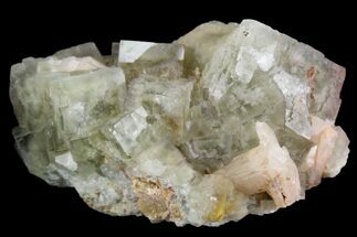 Light-Green, Cubic Fluorite Crystal Cluster with Barite - Morocco #138248