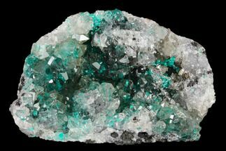 Dioptase Crystals on Quartz - Kimbedi, Congo #148472