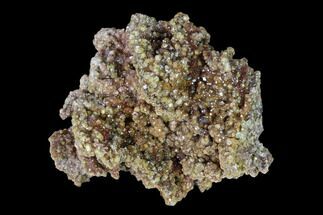 Mimetite Crystal Cluster - Congo #148444