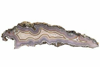 Polished, Purple, Banded Laguna Agate Slice - Mexico #198079