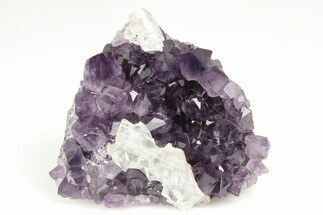 Free-Standing, Amethyst Crystal Cluster with Quartz - Uruguay #199889