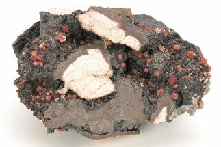 Small, Red Vanadinite Crystals on Manganese Oxide - Morocco #212014