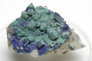 Vibrant Malachite and Azurite on Quartz Crystals - China #213824