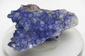 Vivid-Blue Azurite Encrusted Quartz Crystals - China #213827