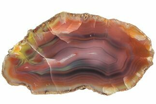 Colorful, Polished Patagonia Agate - Argentina #214909