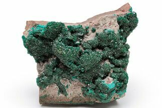 Dark Green Dioptase Crystal Cluster - Congo #111562