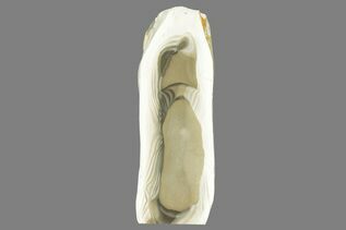Buy Striped Flint