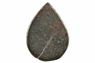 Chondrite Meteorite Cabochon ( g) #238201