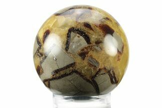 Polished Septarian Sphere - Madagascar #238998
