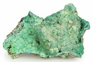 Striking Green Conichalcite with Chrysocolla - Namibia #244377