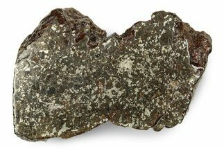 Polished Vaca Muerta Mesosiderite Meteorite ( g) - Chile #246996