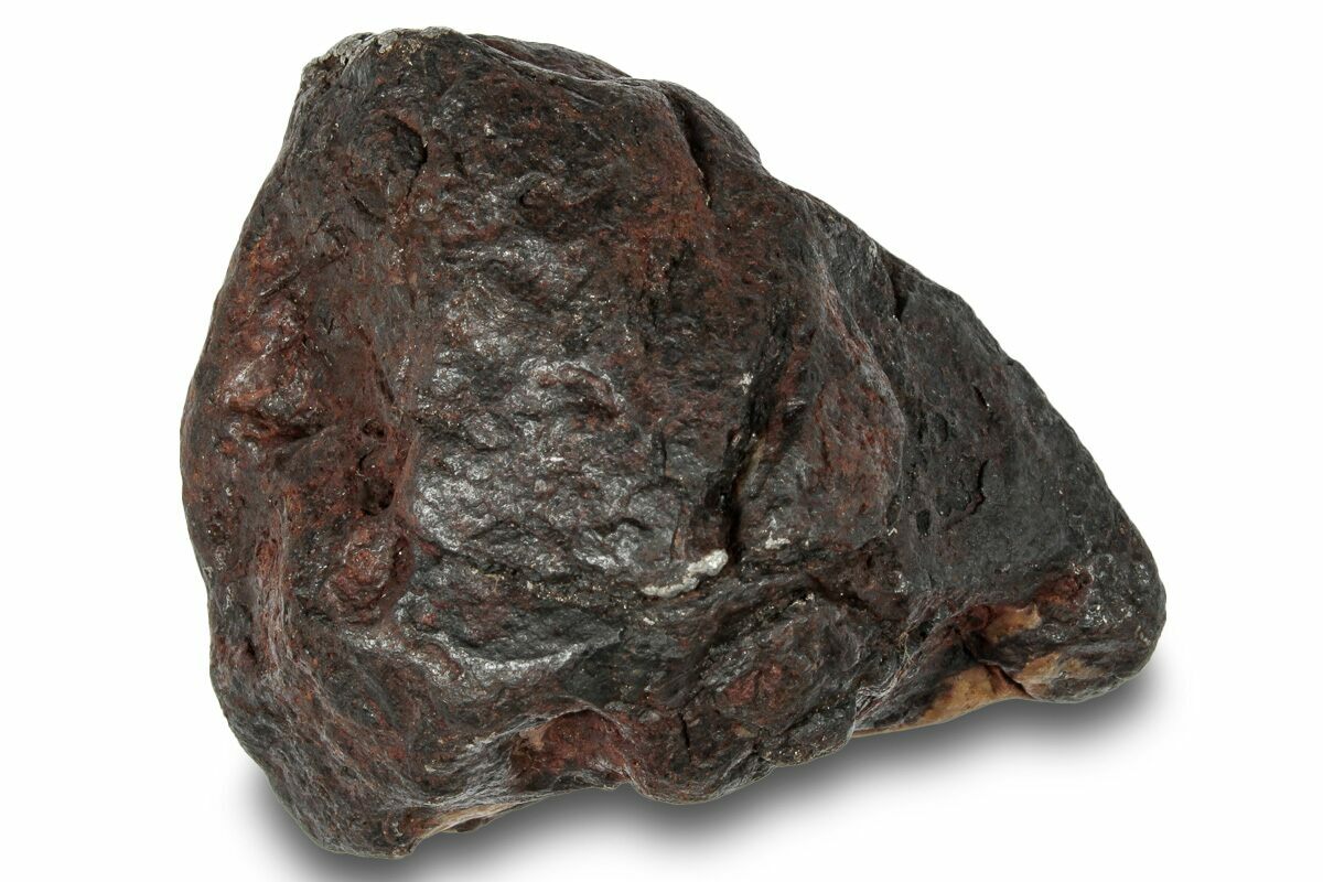 Canyon Diablo Iron Meteorite ( g) - Arizona #249943