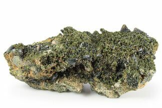 Lustrous Epidote Crystals on Actinolite - Pakistan #257774