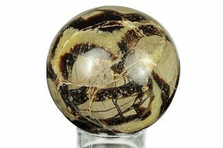 Polished Septarian Sphere - Madagascar #260021