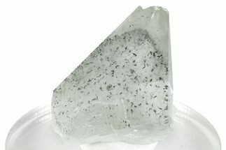 Calcite Crystal with Marcasite Phantom - Iowa #260694
