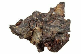 Springwater Pallasite Meteorite ( g) - Canada #263182