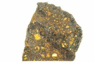 Polished Admire Pallasite Meteorite ( g) Slice - Kansas #263320