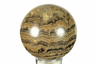 Polished Stromatolite (Greysonia) Sphere - Bolivia #264442