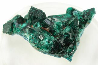 Lustrous Dioptase Crystals on Plancheite - Republic of the Congo #266247
