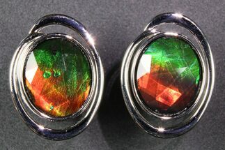 Flashy Ammolite (Fossil Ammonite Shell) Earrings with Sterling Silver #271777
