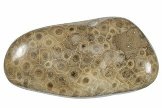 Large, Polished Petoskey Stone (Fossil Coral) - Michigan #271876