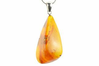 Polished Baltic Amber Pendant (Necklace) - Contains Insects! #272080