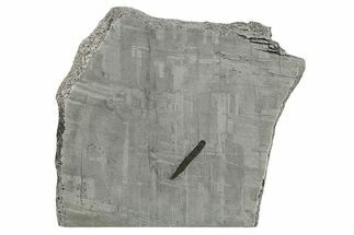 Etched Gibeon Iron Meteorite ( g) Slice - Namibia #272600