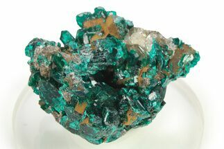 Lustrous Dioptase Crystals with Cerussite - Republic of the Congo #272943
