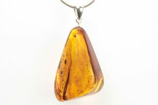 Polished Baltic Amber Pendant (Necklace) - Contains Beetle & Leaf #273400